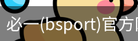必一(bsport)官方网站 - 官方正版入口
